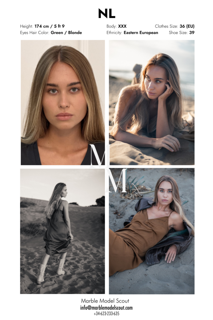 NL model card – Marble Model Scout